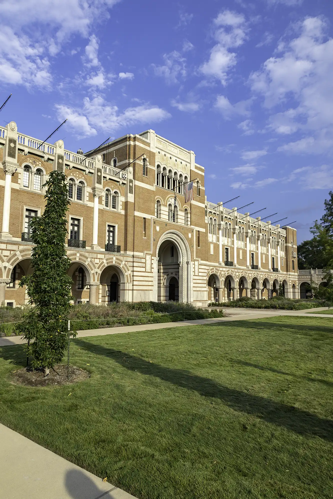 Split Lighting Portrait